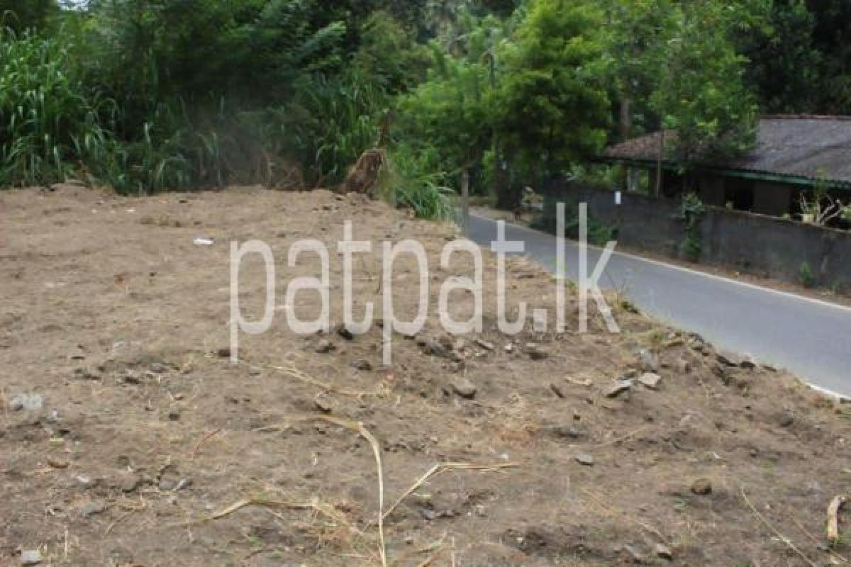 Agricultural Land for Sale in Kundasale