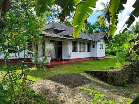 Commercial Land for Sale in Horana