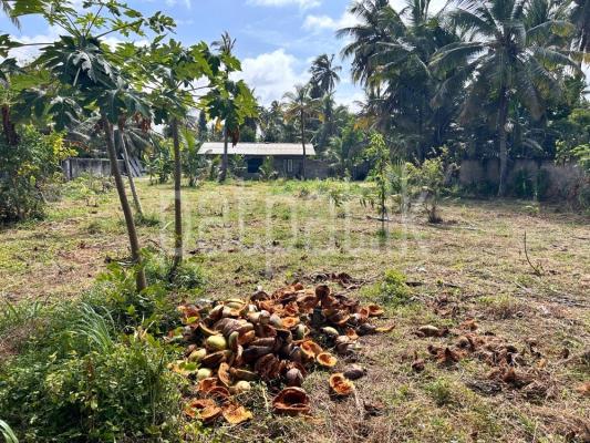 premium-listing-image