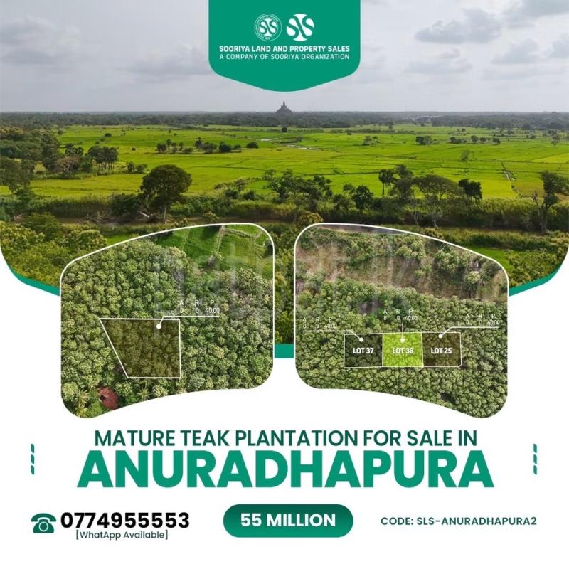 Commercial Land for Sale in Anuradhapura