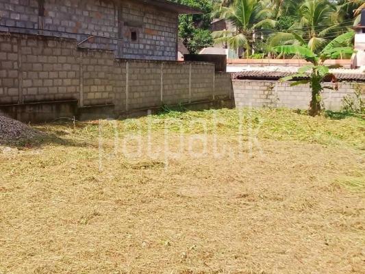 premium-listing-image