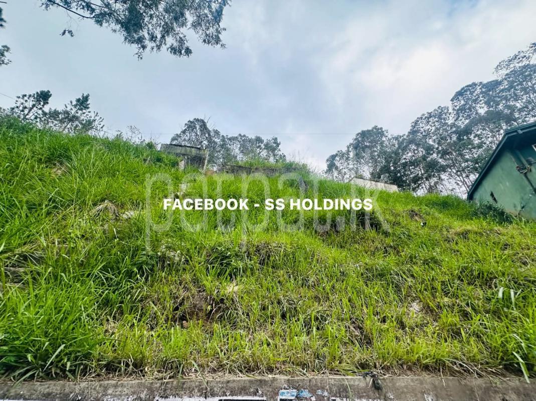 Agricultural Land for Sale in Welimada