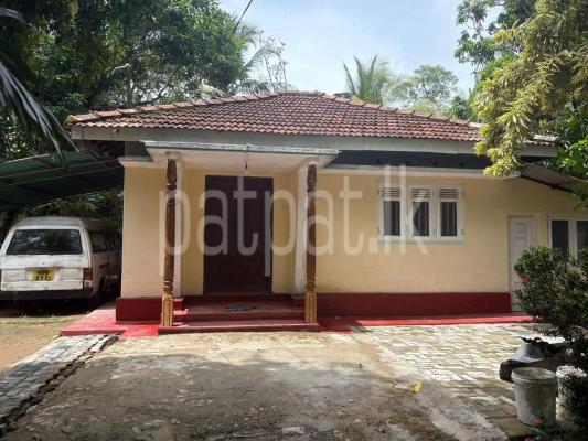 premium-listing-image