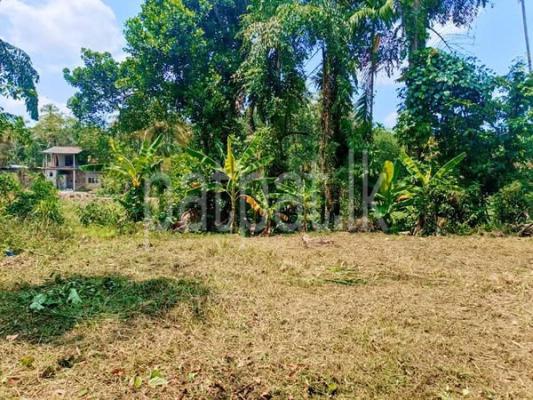 Residential Land for Sale in Yakkala