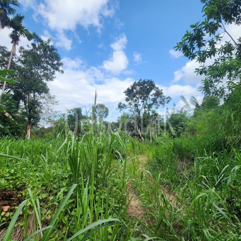 Residential Land for Sale in Gampola