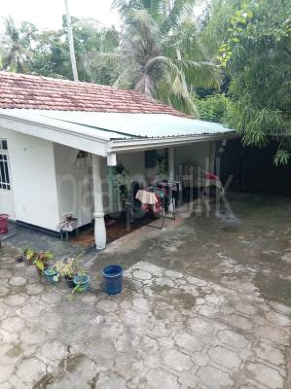 House for Sale in Wennappuwa