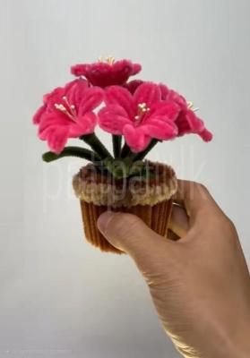 premium-listing-image