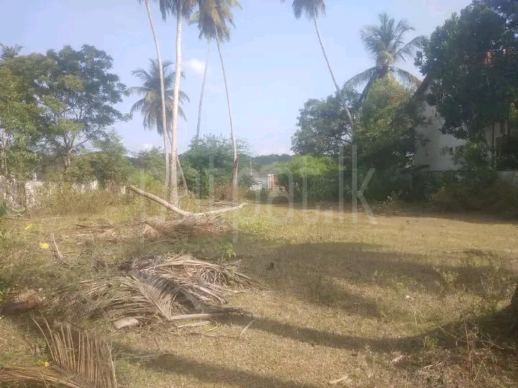Commercial Land for Sale in Ranna