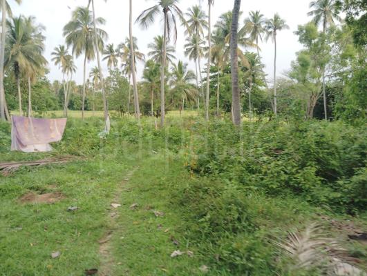 Commercial Land for Sale in Hiripitiya