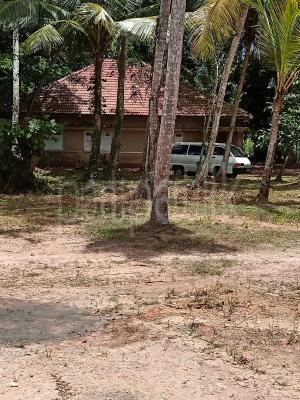 premium-listing-image