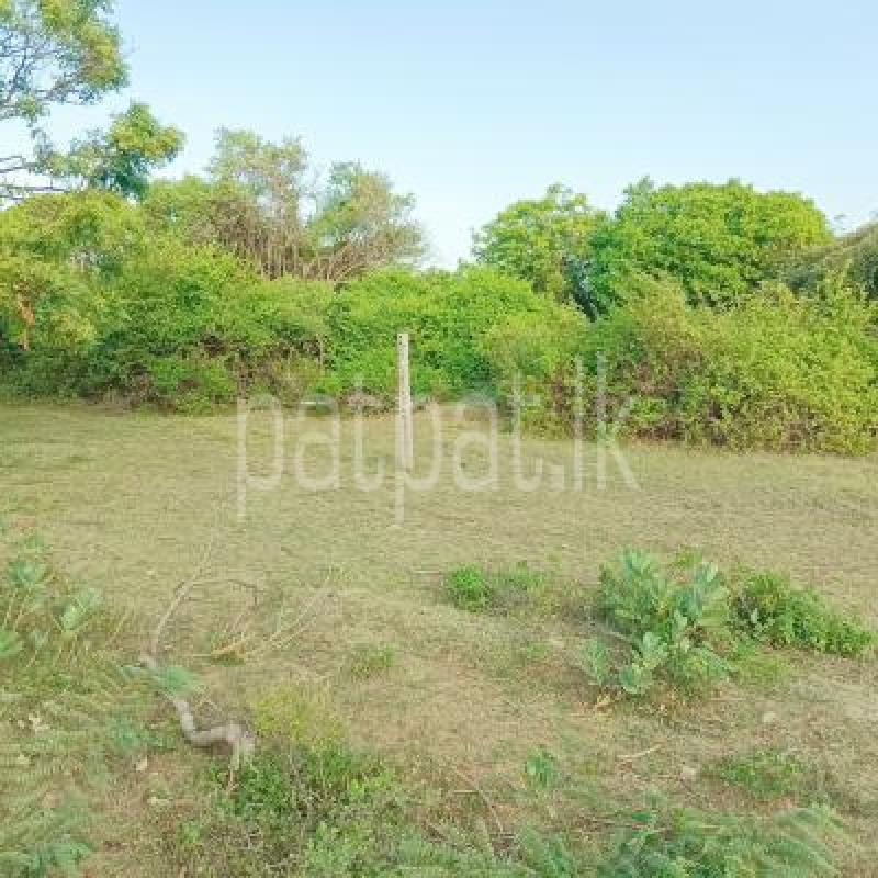 Commercial Land for Sale in Nilaveli