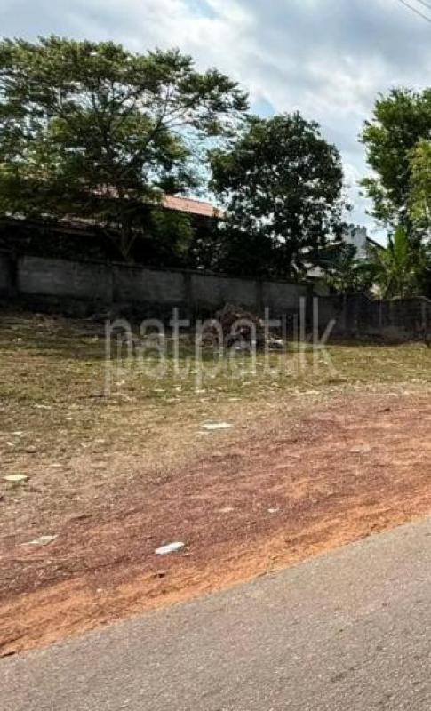 Commercial Land for Sale in Kandana