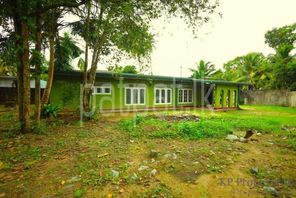 premium-listing-image