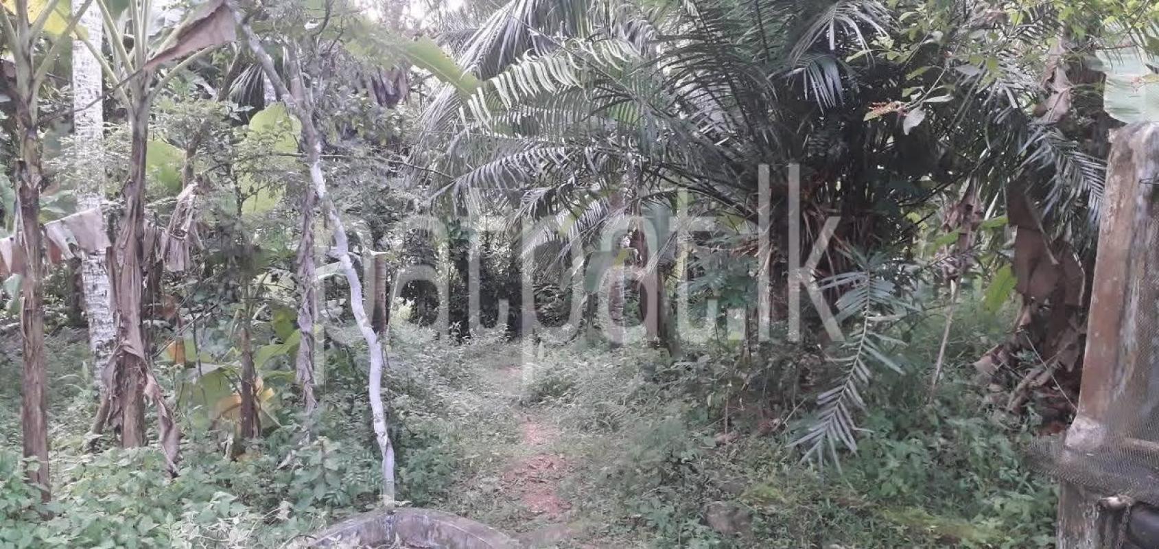 Residential Land for Sale in Athurugiriya