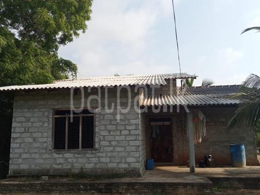 premium-listing-image