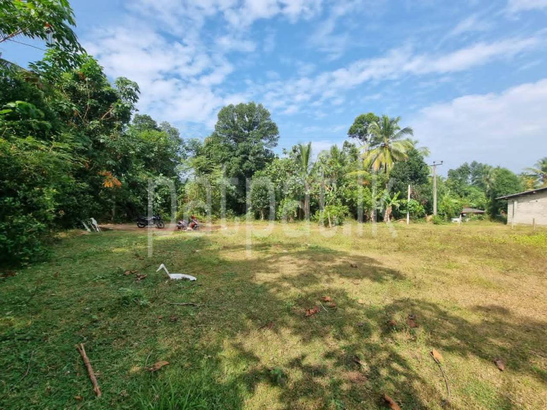 Residential Land for Sale in Nittambuwa
