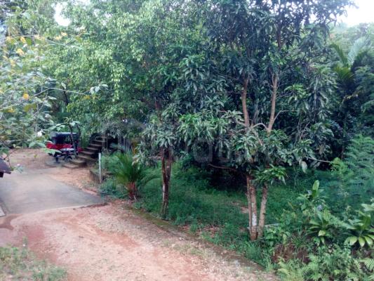Residential Land for Sale in Angoda