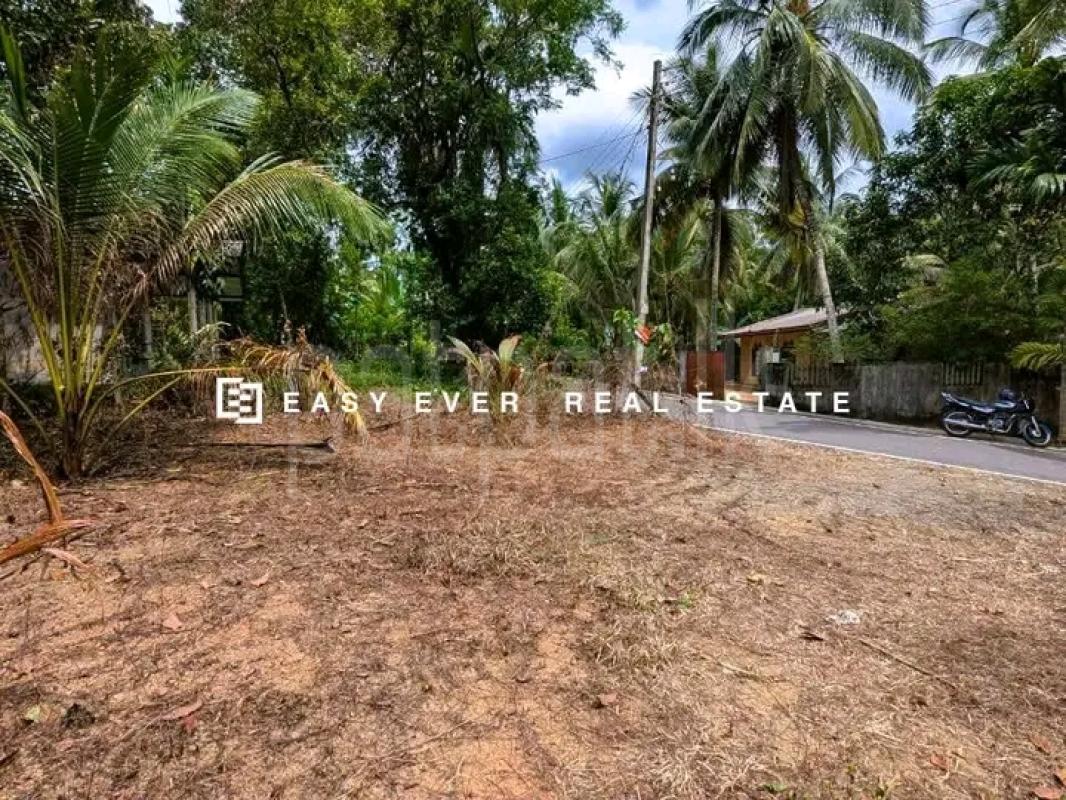 Commercial Land for Sale in Minuwangoda