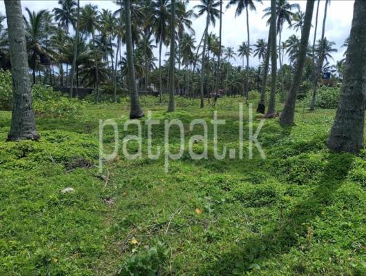 premium-listing-image