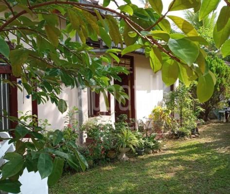 Residential Land for Sale in Narahenpita (Colombo 05)