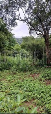 Residential Land for Sale in Kataragama