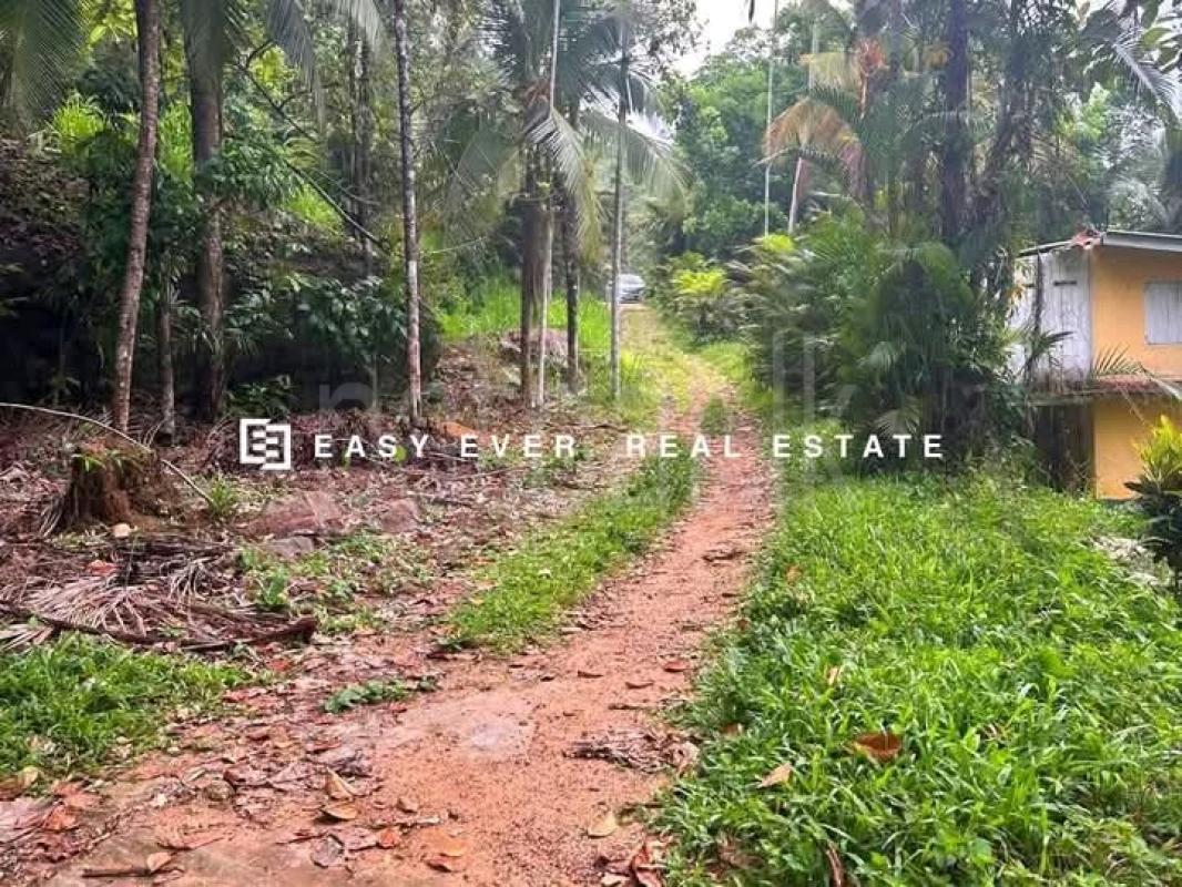 Commercial Land for Sale in Nittambuwa
