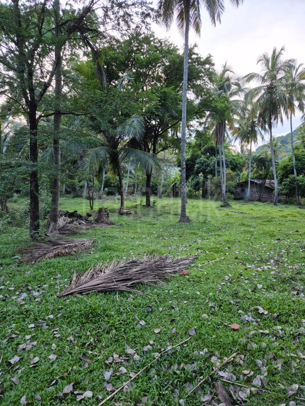 Agricultural Land for Sale in Ibbagamuwa