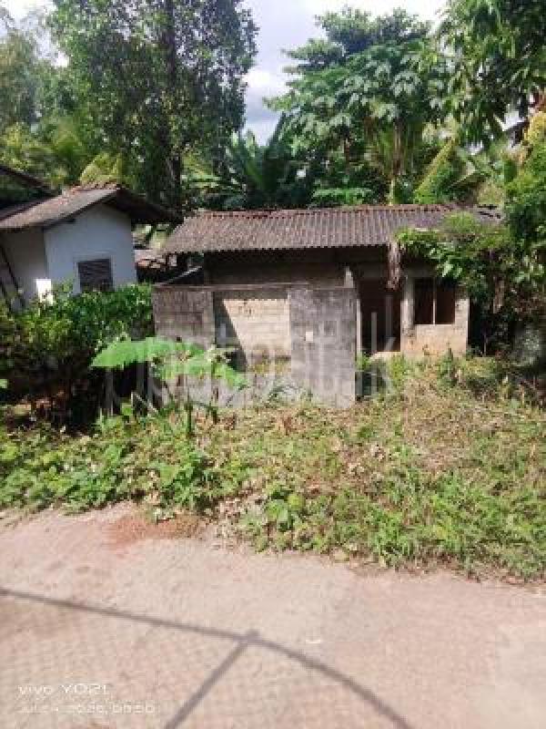 Agricultural Land for Sale in Kuruwita