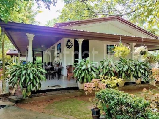 premium-listing-image