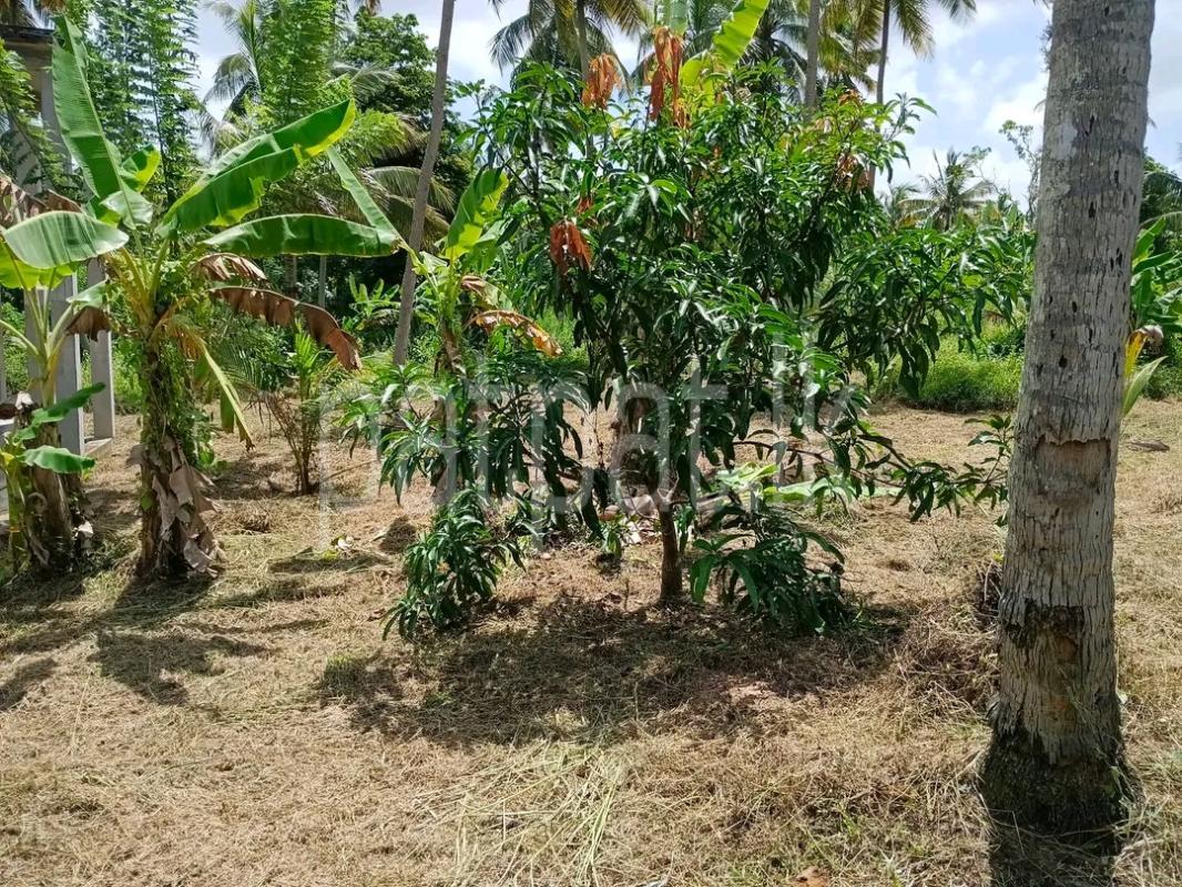 Agricultural Land for Sale in Minuwangoda