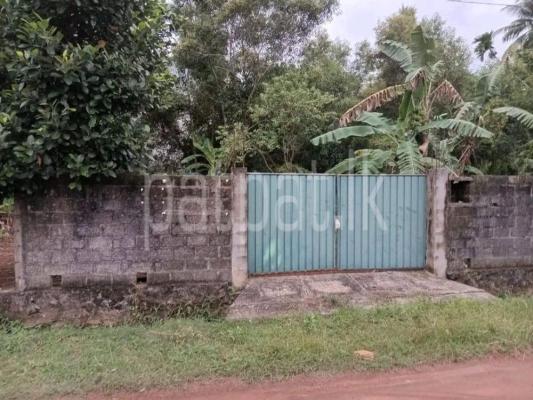 premium-listing-image