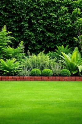 premium-listing-image