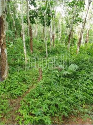 premium-listing-image