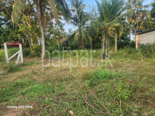 premium-listing-image