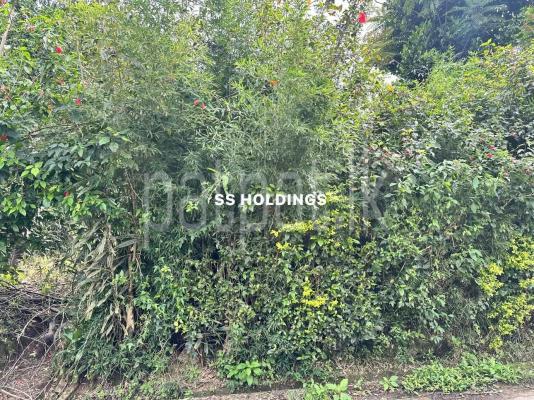 Agricultural Land for Sale in Passara