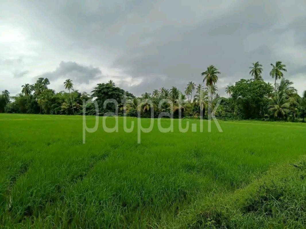 Agricultural Land for Sale in Maho