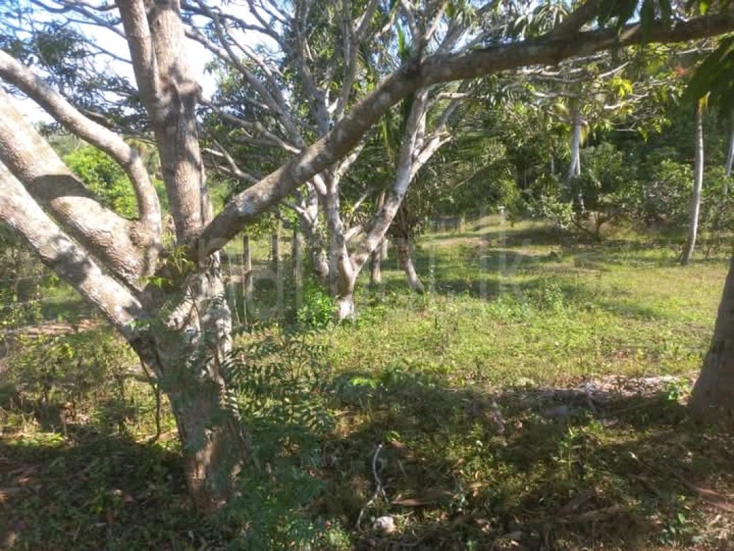 Commercial Land for Sale in Katunayake