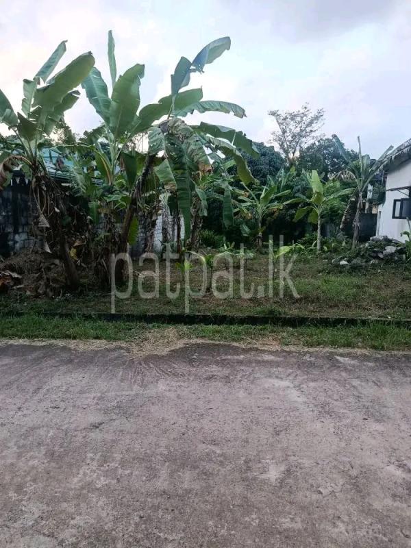 Residential Land for Sale in Balabowa