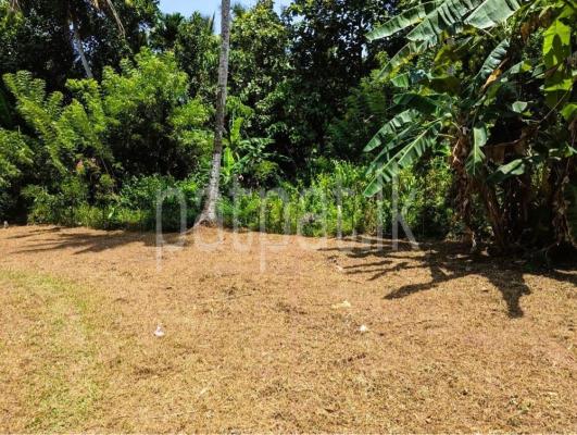 premium-listing-image