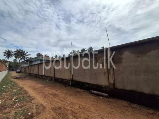 Agricultural Land for Sale in Wadduwa