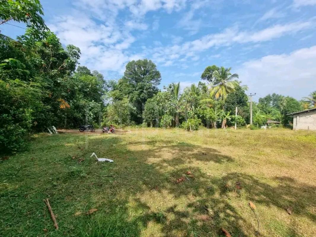 Commercial Land for Sale in Nittambuwa