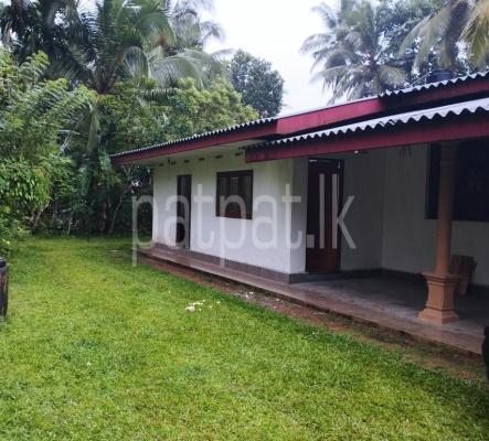 premium-listing-image