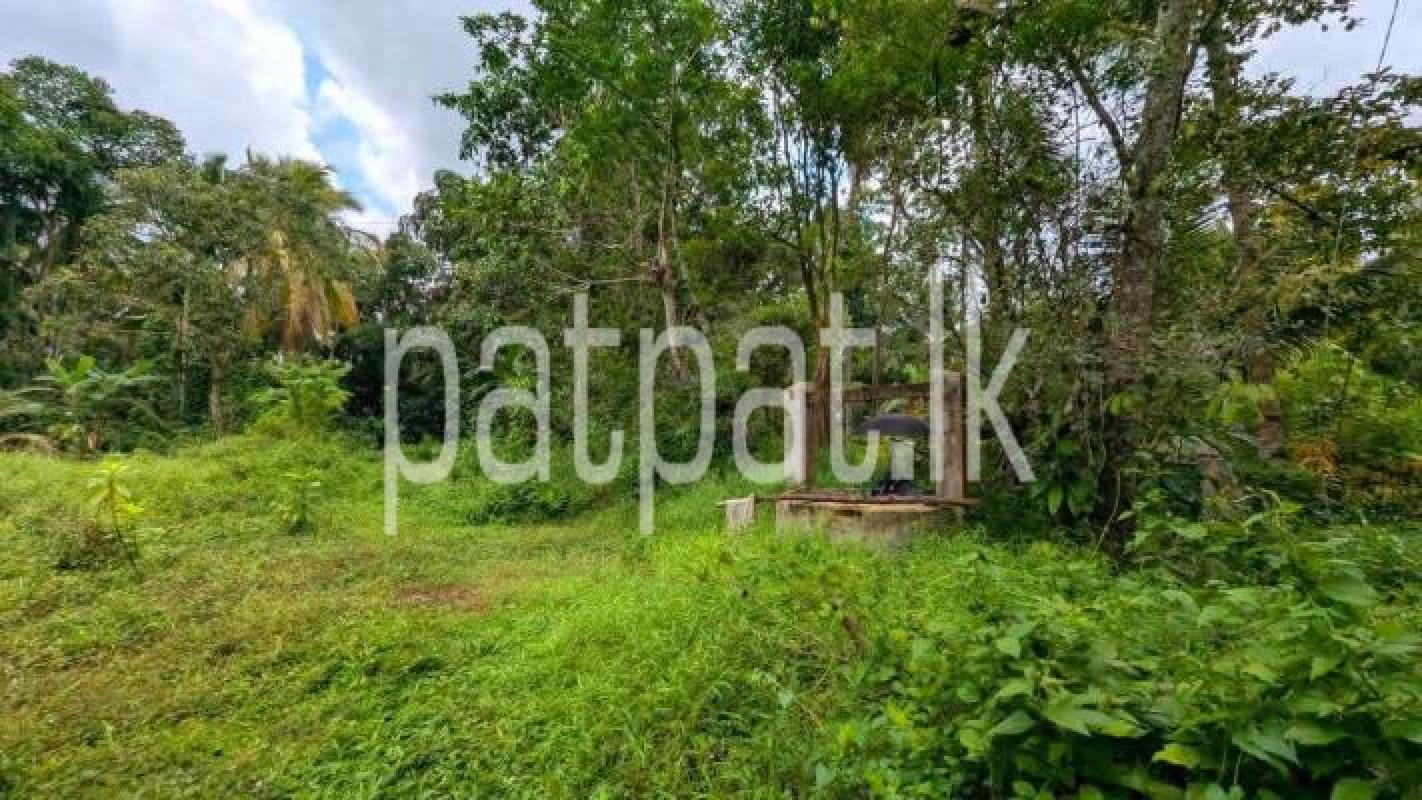 Residential Land for Sale in Kadawatha