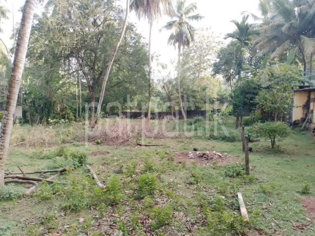 Residential Land for Sale in Ragama