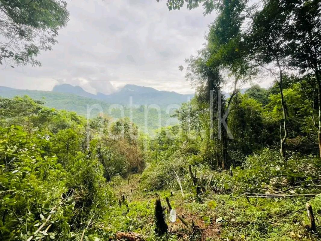 Agricultural Land for Sale in Kandalama