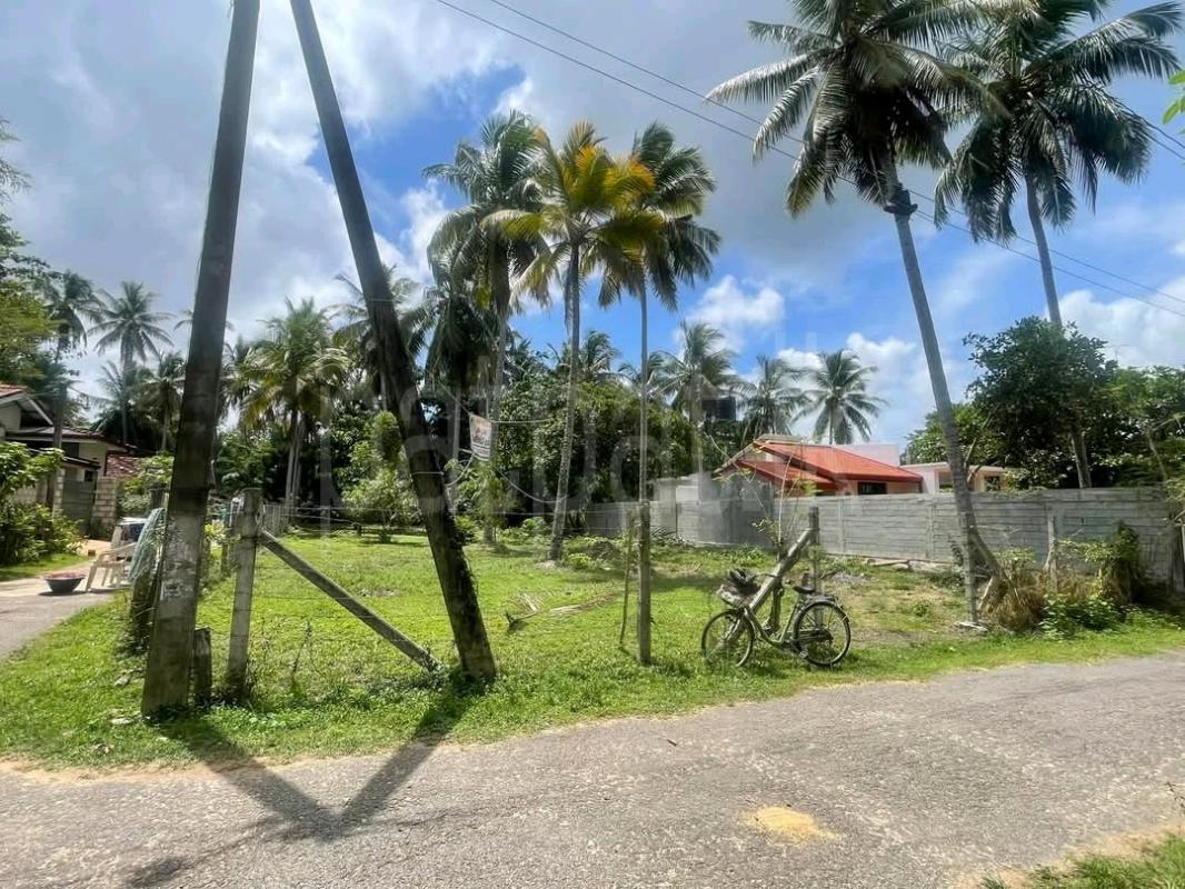Residential Land for Sale in Negombo