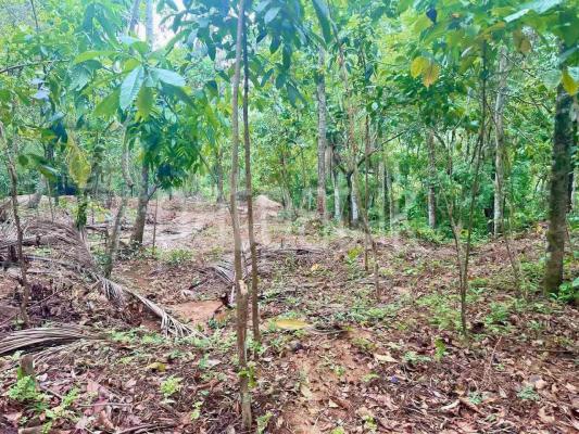 Residential Land for Sale in Nittambuwa