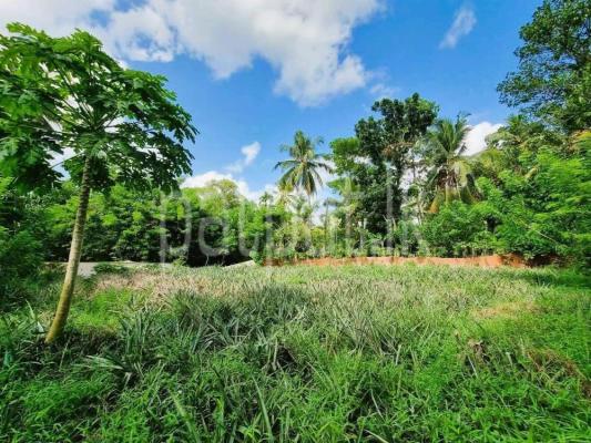 premium-listing-image