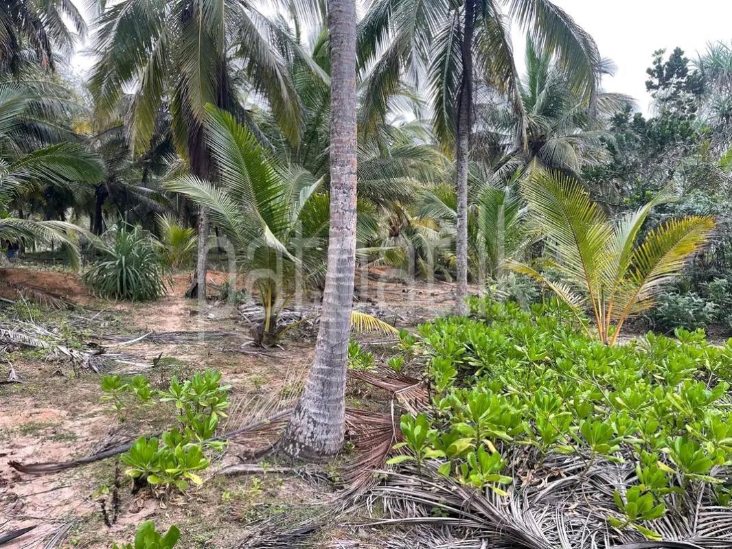 Residential Land for Sale in Chilaw