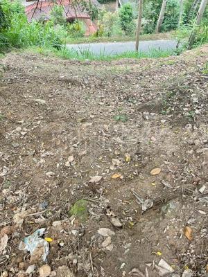 premium-listing-image